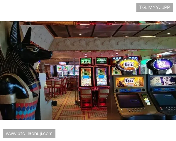 全面解析老虎机线路设计与布局优化技巧让你玩得更尽兴